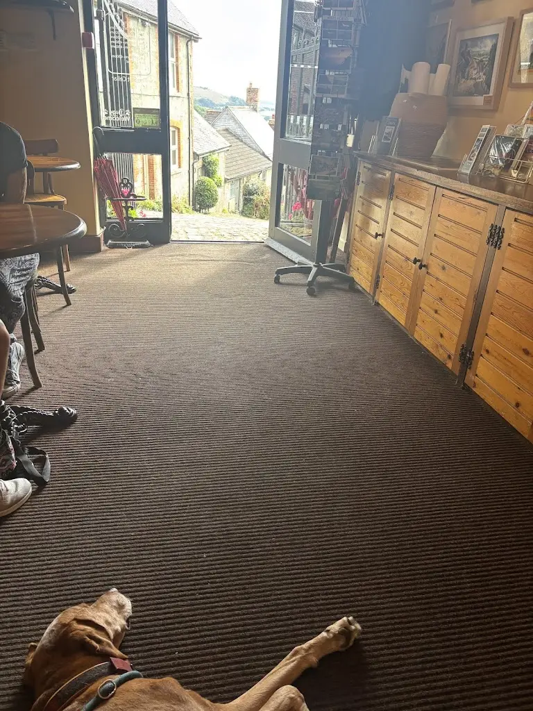 Sly Jenkins_The Salt Cellar_Shaftesbury_review