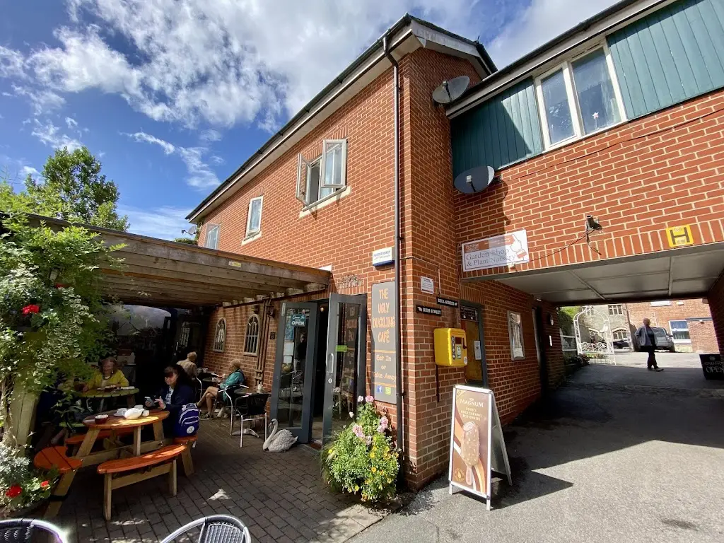 The Ugly Duckling Cafe_Shaftesbury_slider_image_3