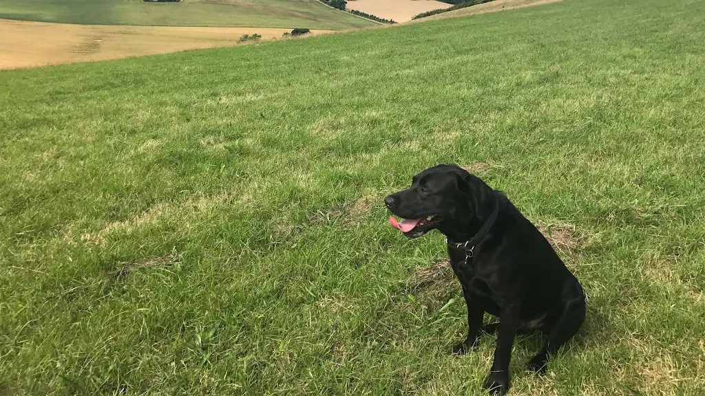 The Grove Arms_Shaftesbury_slider_image_3