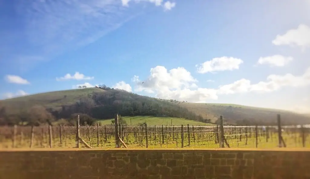 Breezy Ridge Vineyard restaurant in Shaftesbury