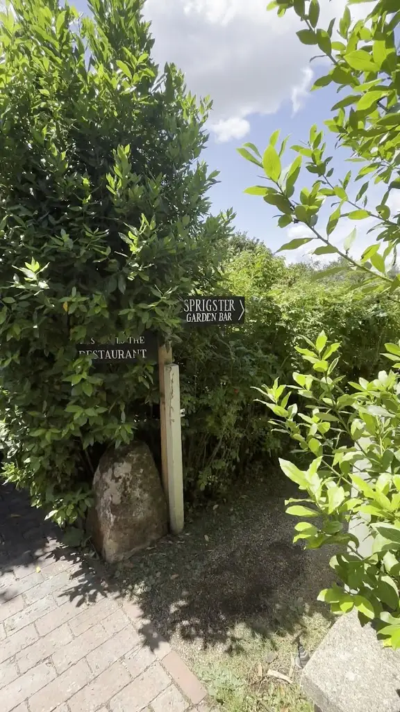 Emma James_Pythouse Kitchen Garden_Shaftesbury_recensione