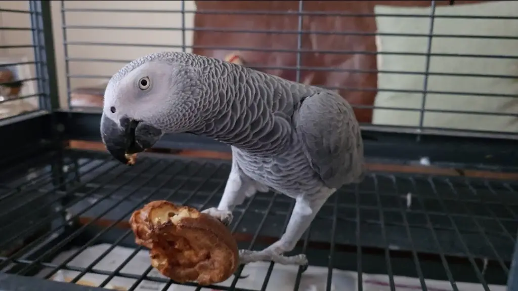 Louis de Bernard_Crofters Carvery_Sheringham_review