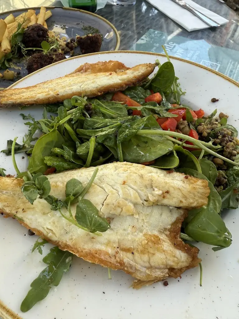 What you need to know!_The Thames Court_Shepperton_review