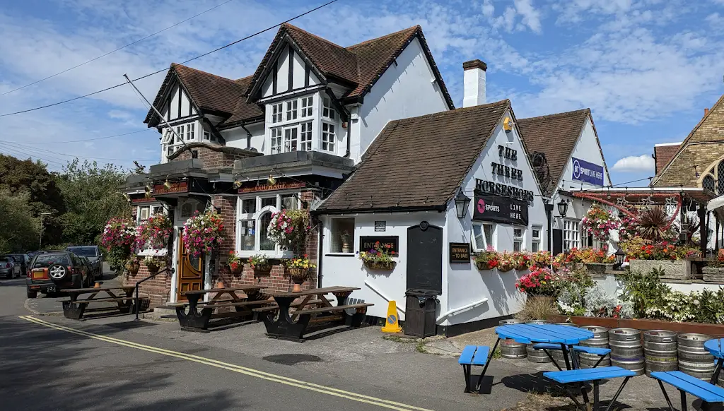 Wade Brice_Three Horseshoes_Shepperton_review