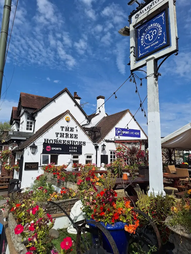 Three Horseshoes_Shepperton_slider_image_2
