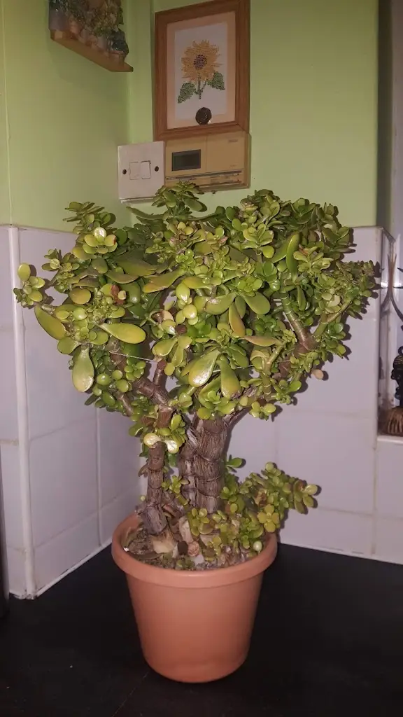 Alex Warren_Orient House_Sileby_review