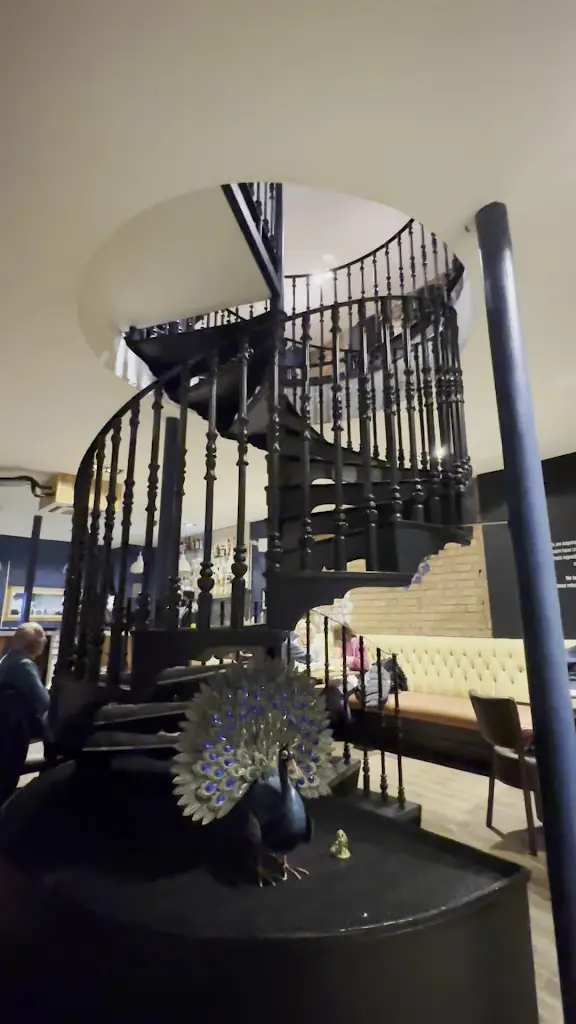 Ruchie_Shirley_slider_image_2