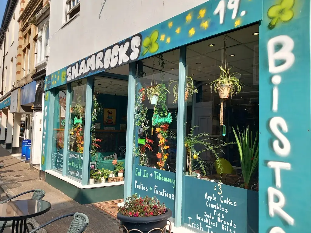 Matthew Cook_Shamrocks_Barnstaple_review