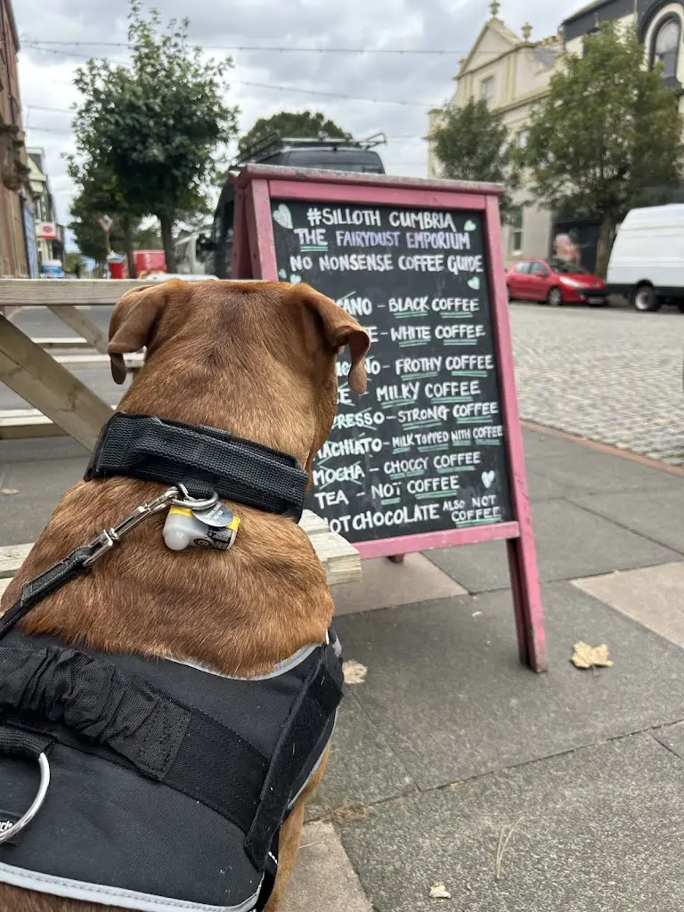 Stefanie Lowe_The Fairydust Emporium Silloth_Silloth_review