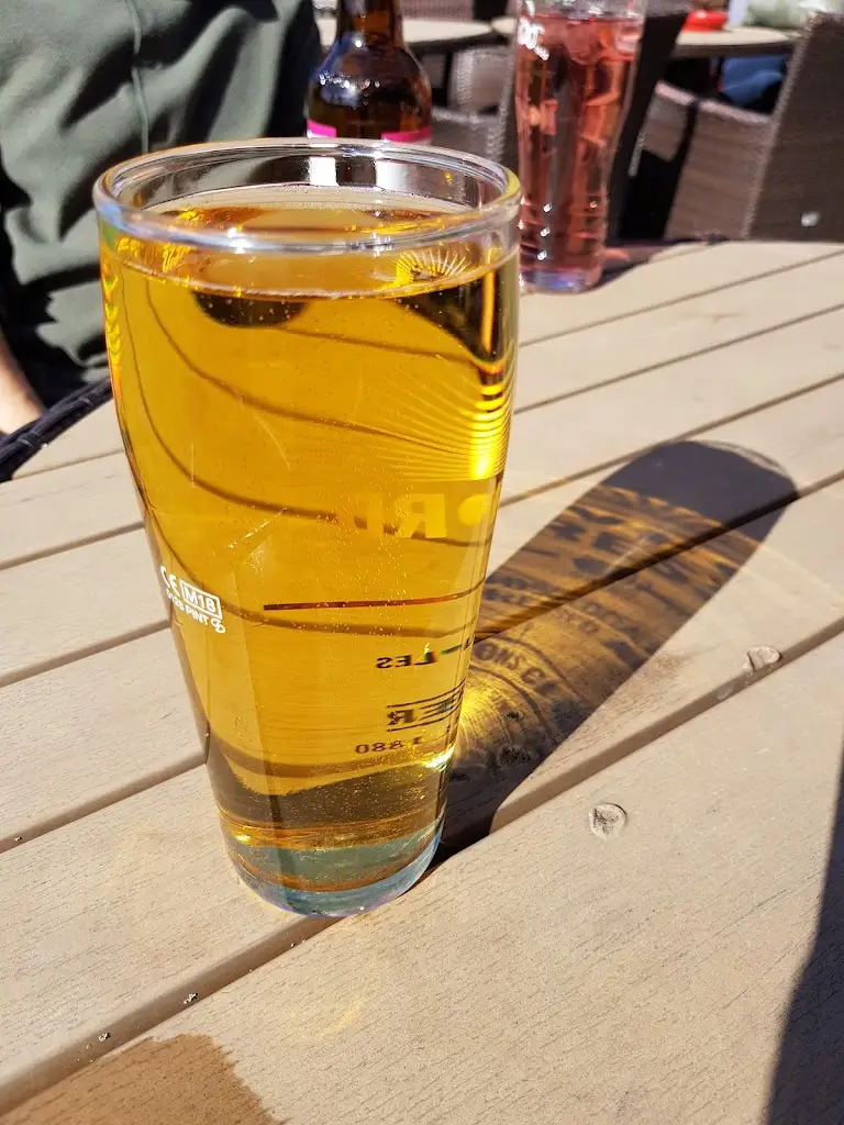 Menu_The Red Lyon_Slinfold_image_8