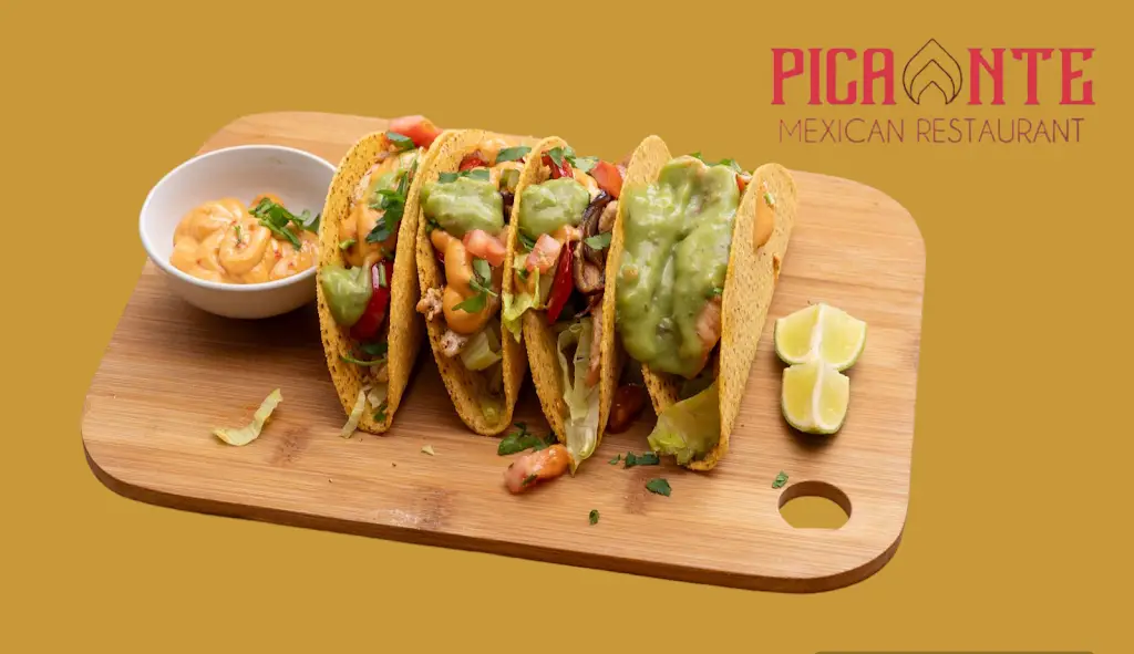 Picante Mexican restaurant_Soham_slider_image_2