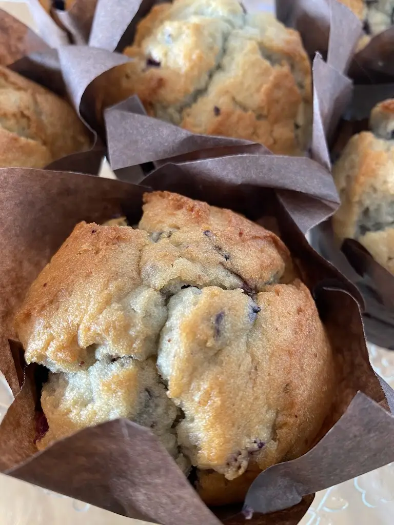 Menu_Fresh Nosh_Somerton_image_5