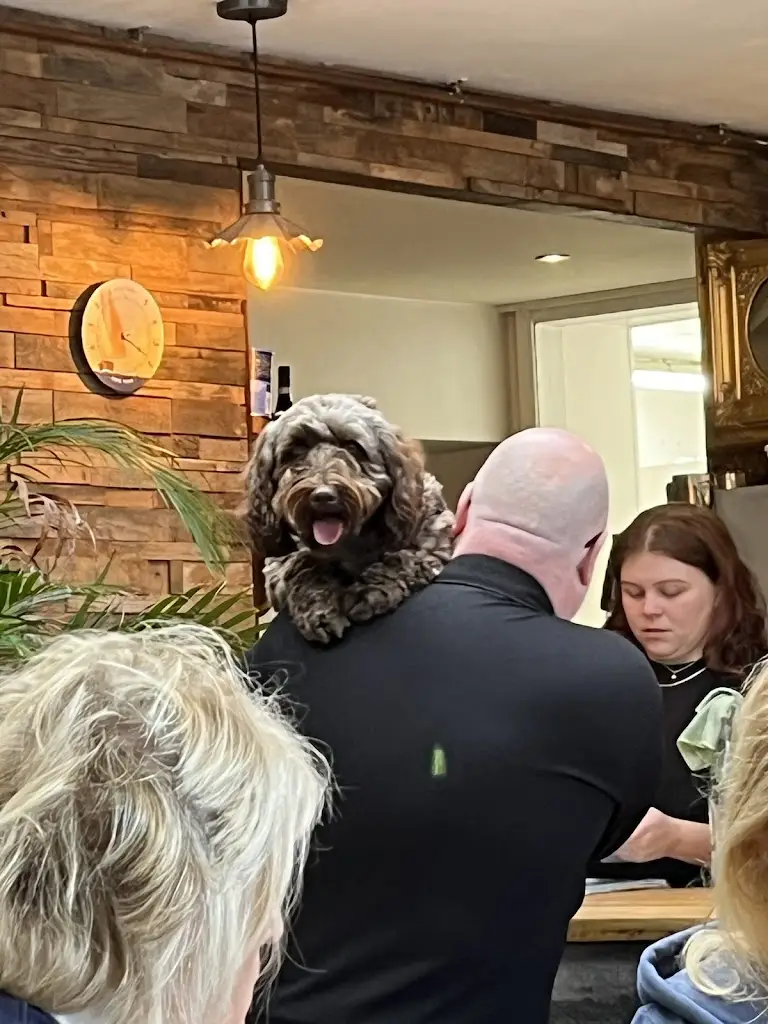 Carolyn Turmaine_Salt Water Cafe_Beadnell_review