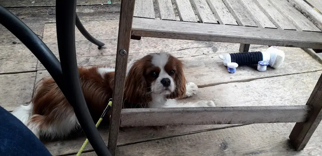 Adam Williams_The Grace_South Gloucestershire_review