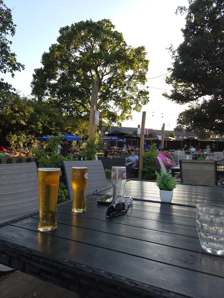 Matt Kiss_The Tipsy Fox_Southwater_recensione