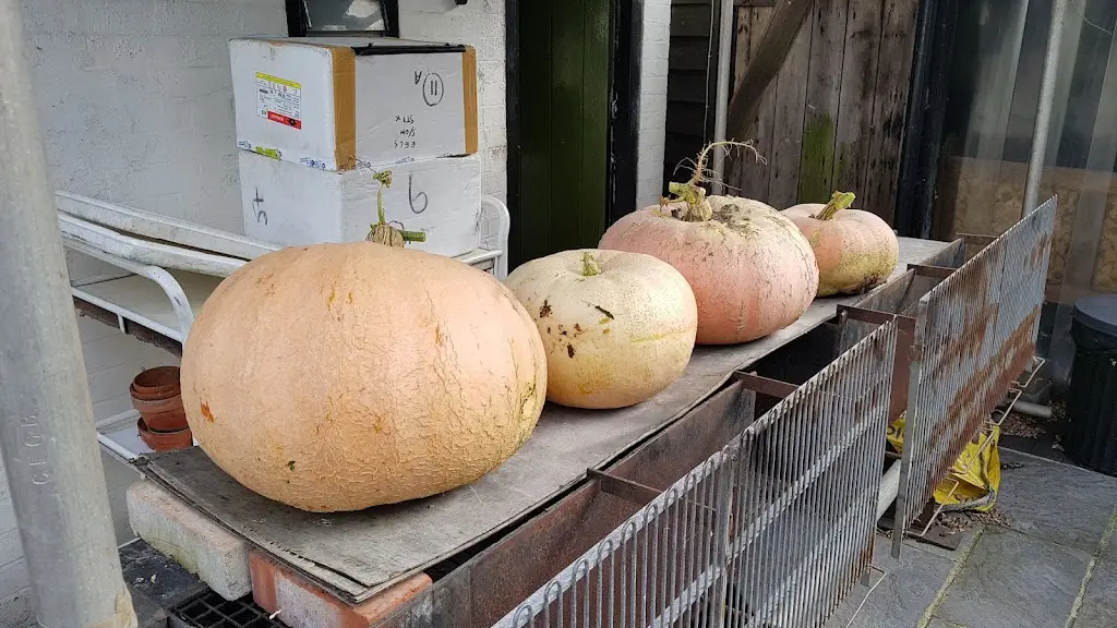 Menu_The Station Arms_Southminster_immagine_5