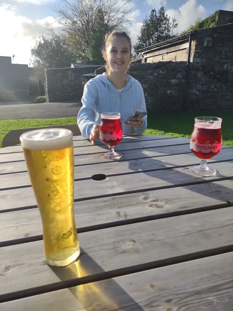 Menu_The Poltimore Inn_South Molton_image_8