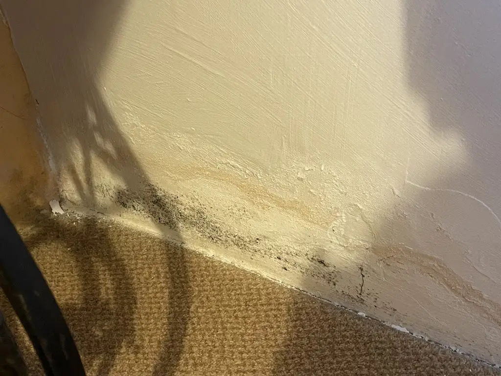 Naomi Dean_The Poltimore Inn_South Molton_review