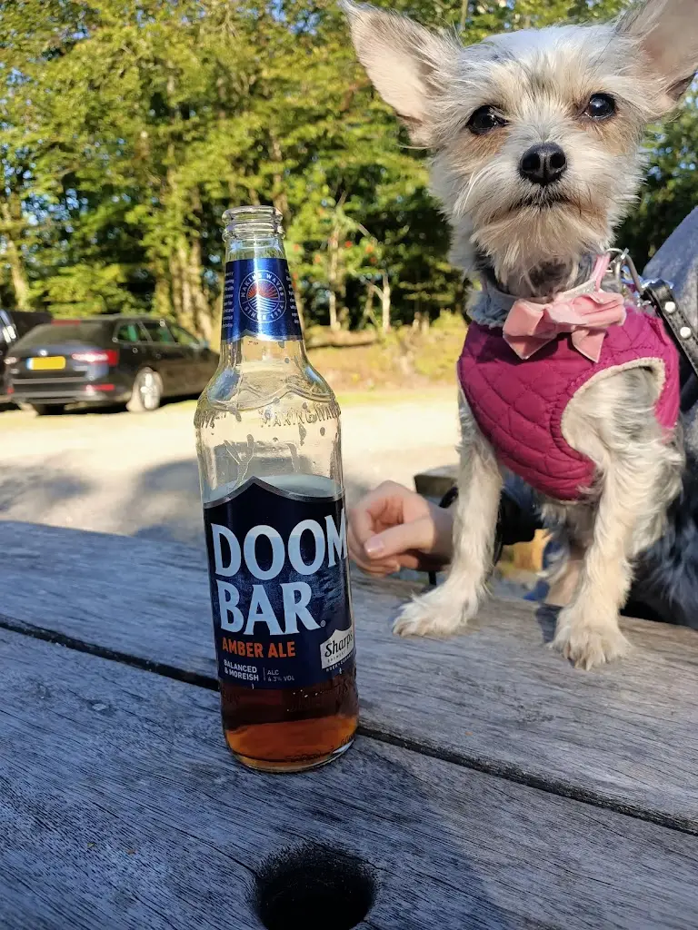 Leanna Sharman_Wild Woods Bar_South Molton_review