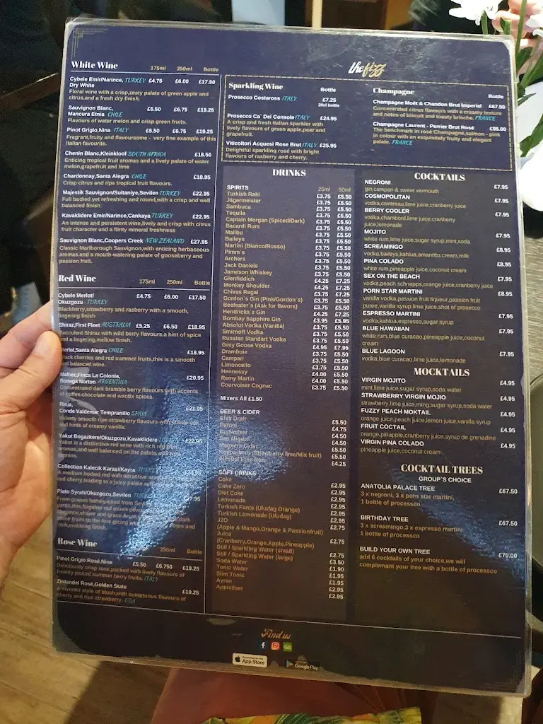 Menu_Anatolian Palace_Stafford_immagine_2