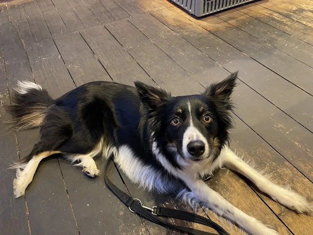 Katrina Wilson_Café Charlotte_Stalham_review