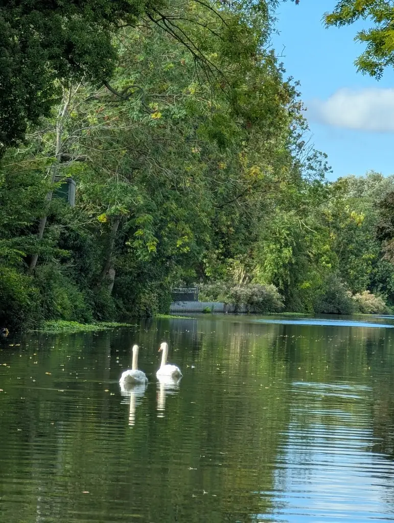 Wendy Sharman_The New Inn_Stainforth_review