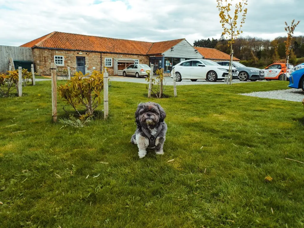 Wayne Goodman_Thorpe Farm The Courtyard Restaurant_Startforth_recensione
