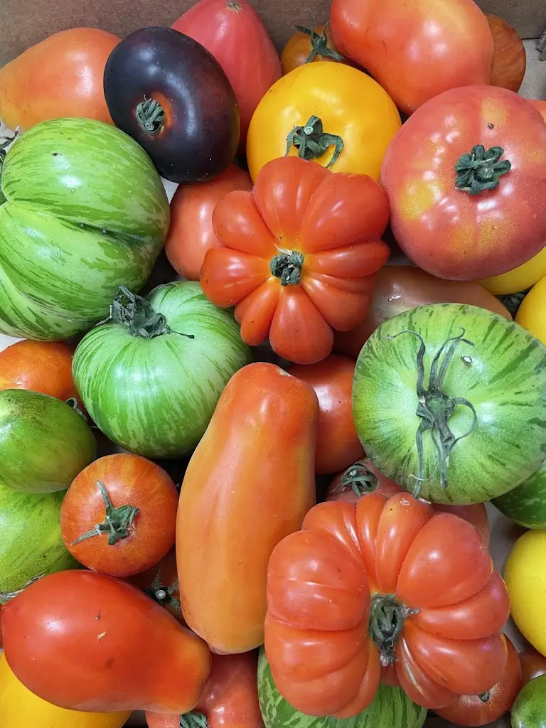 Menu_Giuseppe’s Sicilian Bistro_Stalybridge_image_7