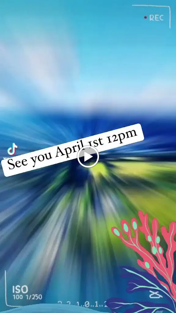 Charlestown Fish Co_St Austell_slider_image_2