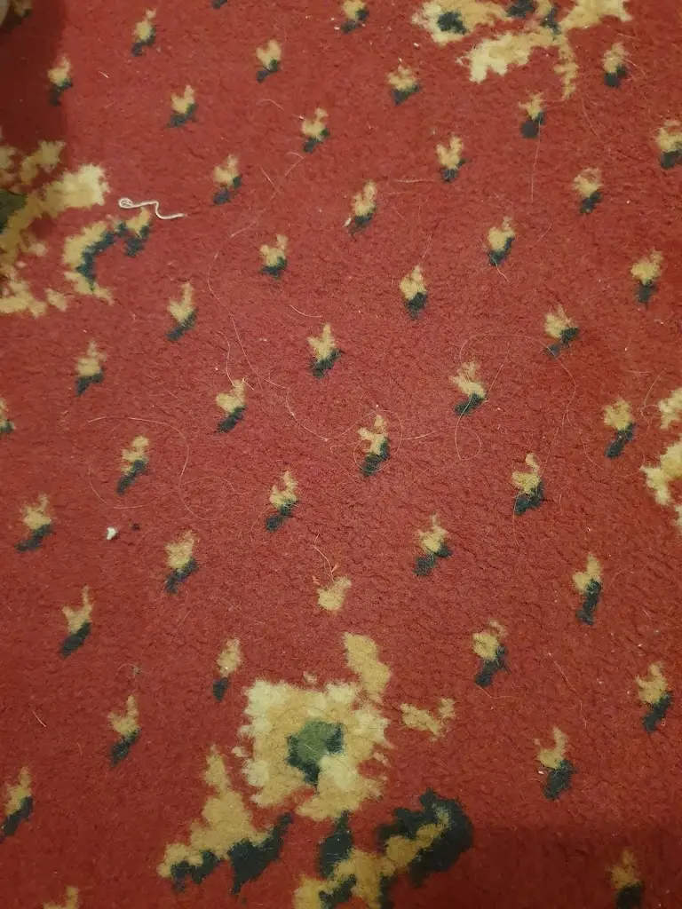 Menu_The Driftwood Inn_Starcross_image_7