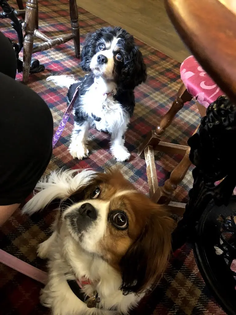 The Royal George at Stevington_Stevington_slider_image_2