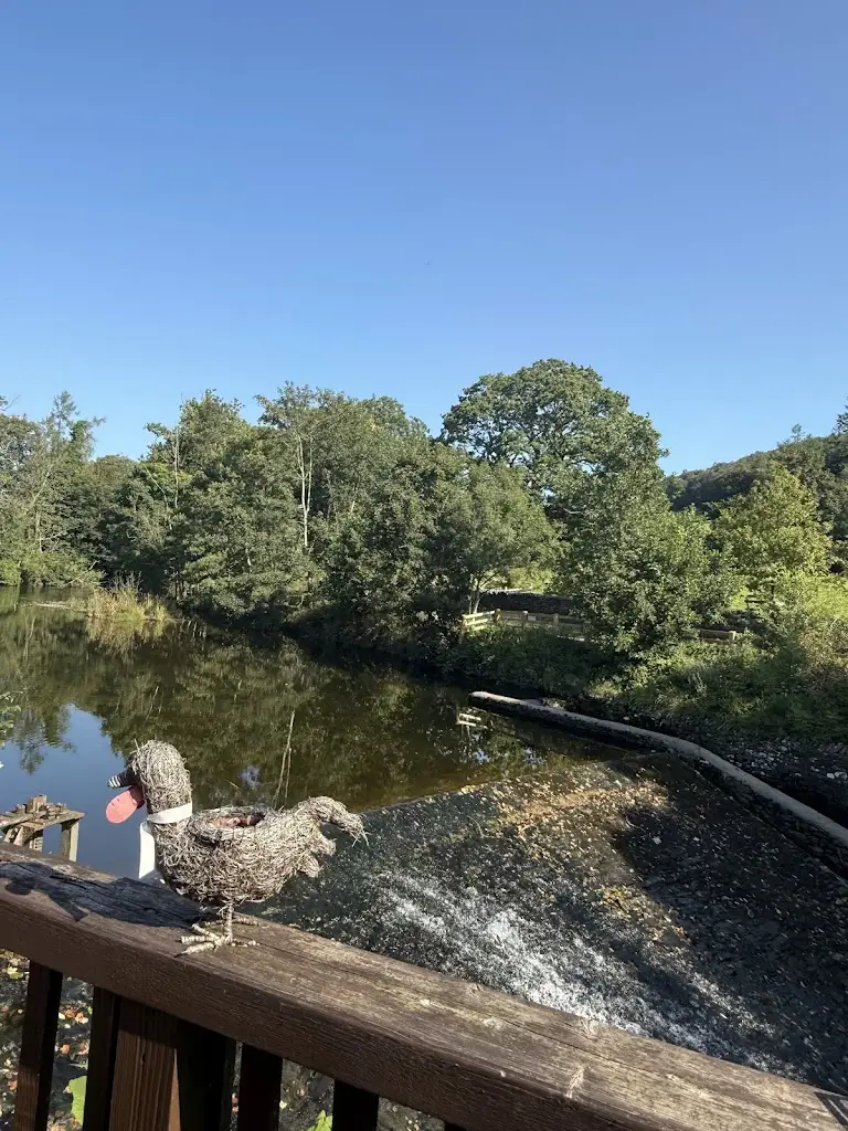 Alan Chumbley_Wilf's Cafe  _Staveley_review