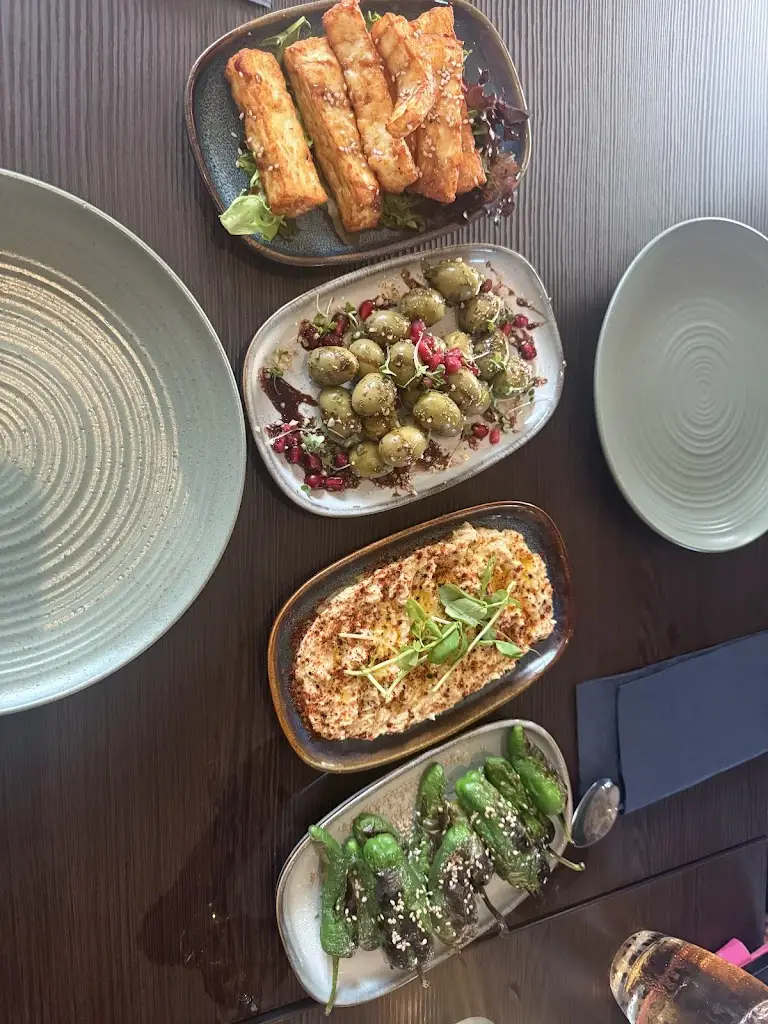 sayantani banerjee_The Antler_Stannington_review