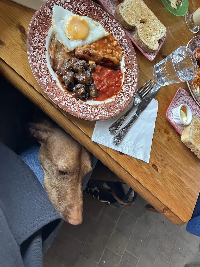 Nikol Maxin_Roast & Radish_Stoke Golding_recensione