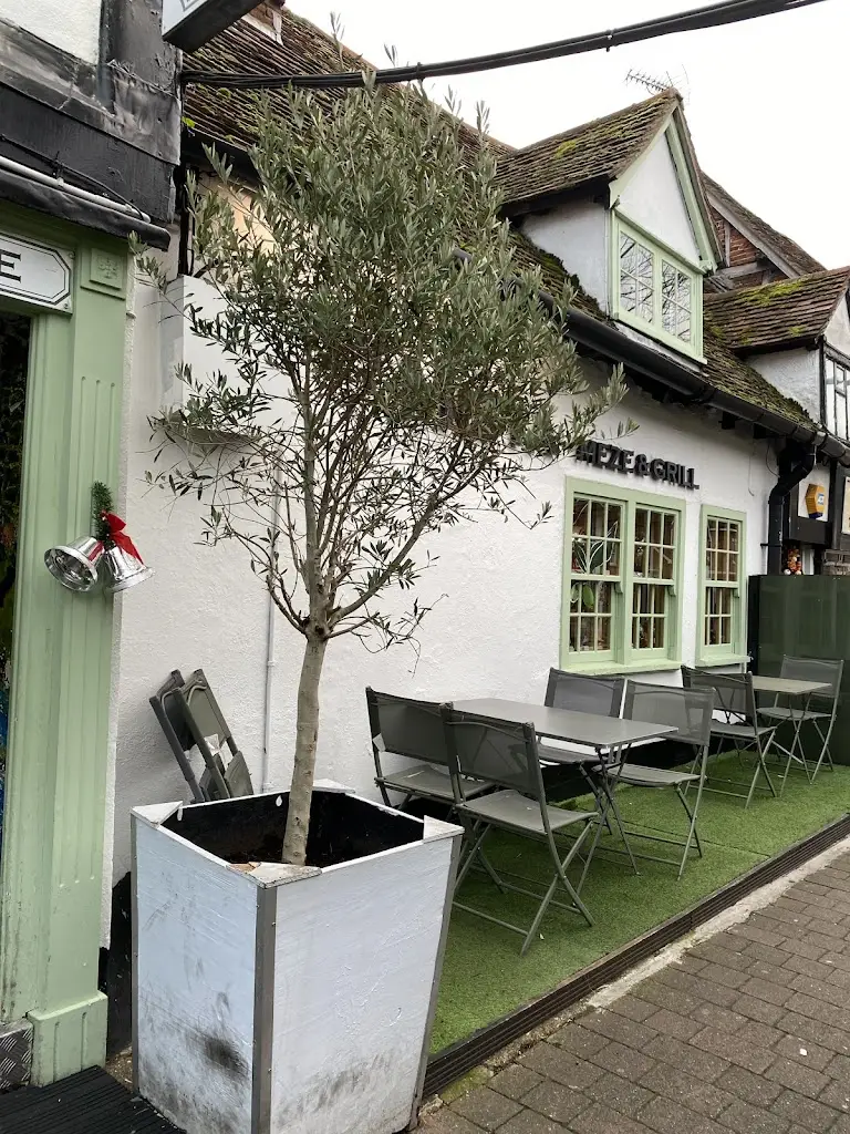 Felicia_Misya meze grill_Stevenage_review