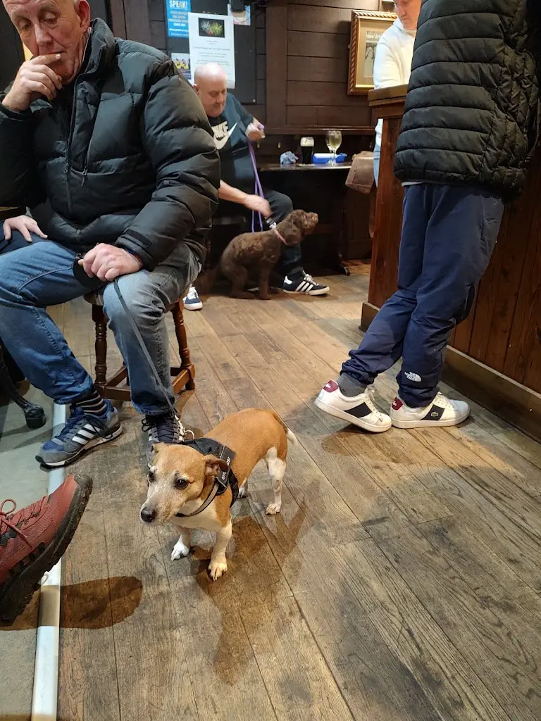 Trey Willis_The Salmon Inn_Belford_review