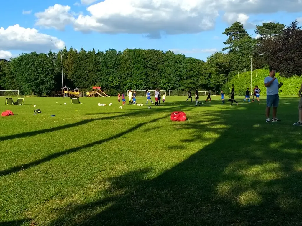 balk2067_Ambasador Polska Restauracja w Slough_Stoke Poges_review