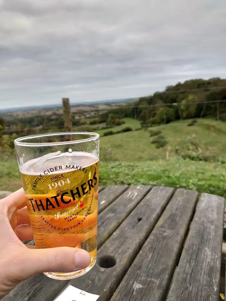 Menu_The Prince Of Wales_Stoke-sub-Hamdon_image_6