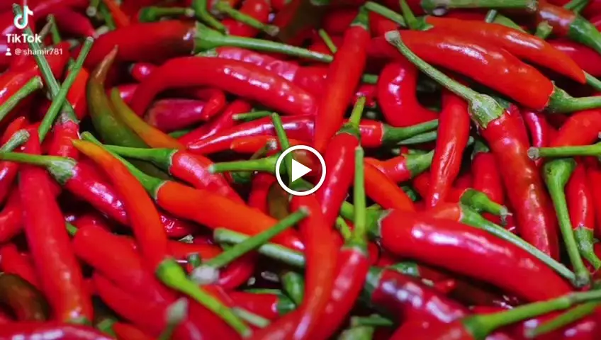 Chilli Lovers_Stanmore_slider_image_2
