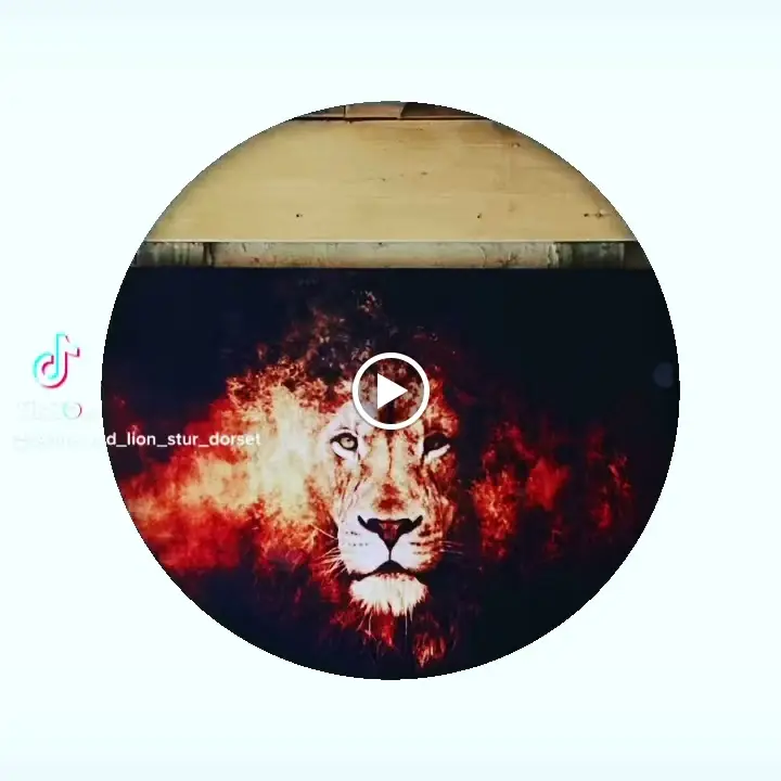 Red Lion Inn Sturminster Marshall_Sturminster Marshall_slider_image_2