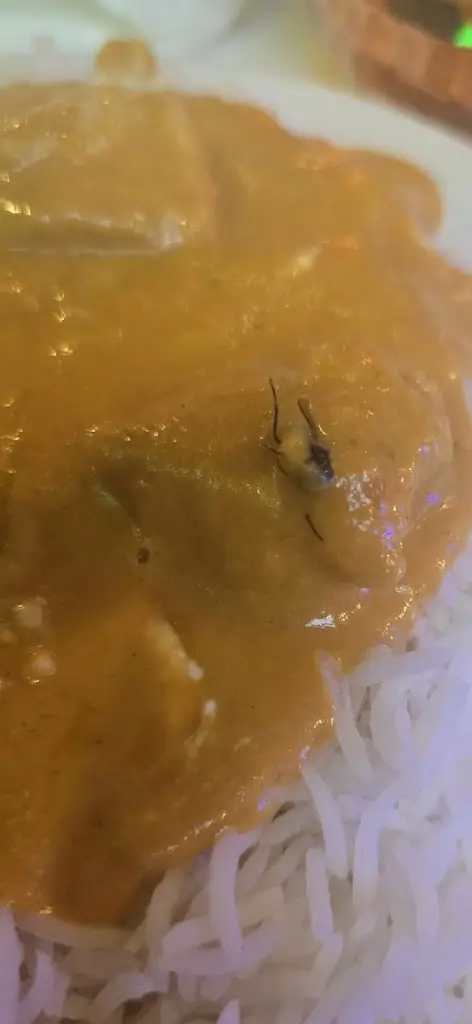 Melissa Walters_Wall 2 Wall - Stourport_Stourport-on-Severn_review