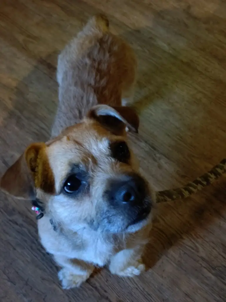 Sue B_White Hart - Alehouse & Kitchen_Sturminster Newton_review