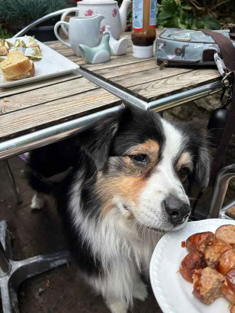 Jon Simpson_The Stur Of The Moment - Tea rooms & Cafe_Sturminster Newton_review