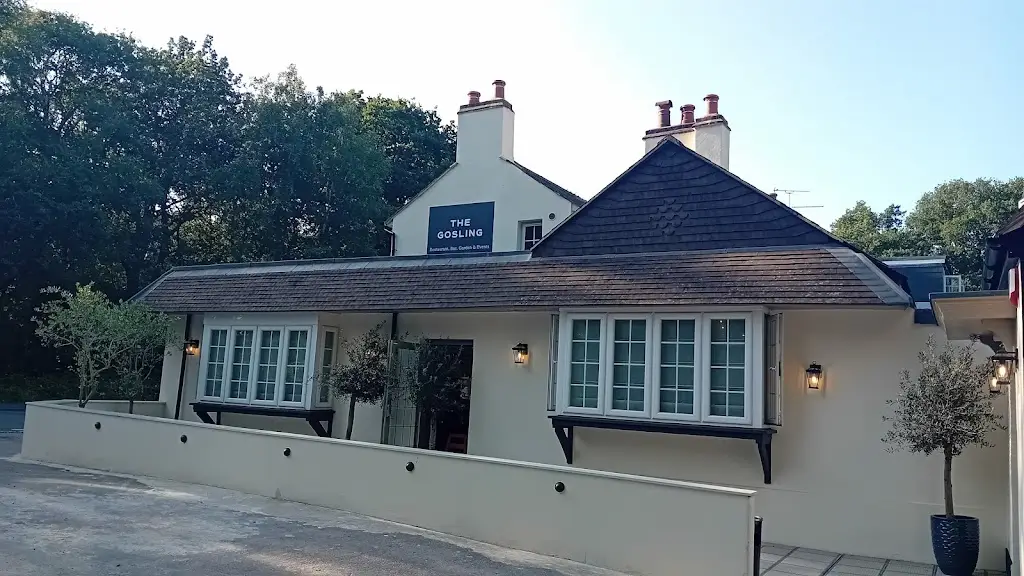 susan arbia_The Gosling_Surrey_recensione