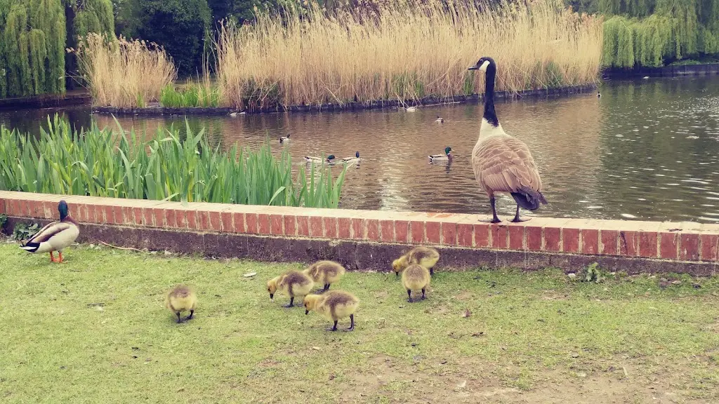 Golden Willow_Storrington_slider_image_3