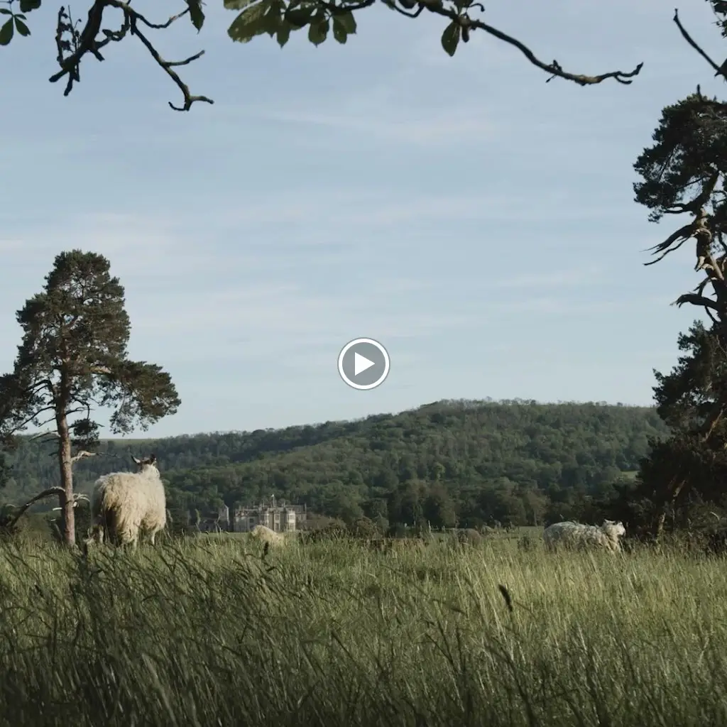 Wiston Estate Winery and Chalk Restaurant_Storrington_slider_image_2