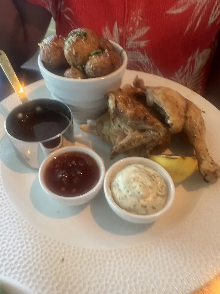 H J_Red Lion Tavern Pulborough_Storrington_review
