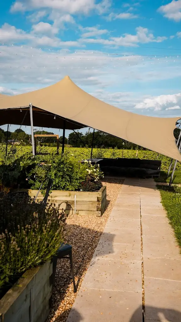 Rosie Lees_Kinsbrook Vineyard, Restaurant, Deli & Shop_Storrington_recensione