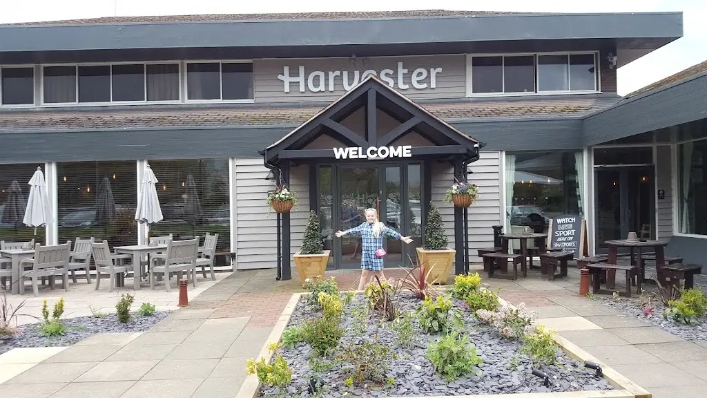 Harvester Dog Redditch restaurant in Studley