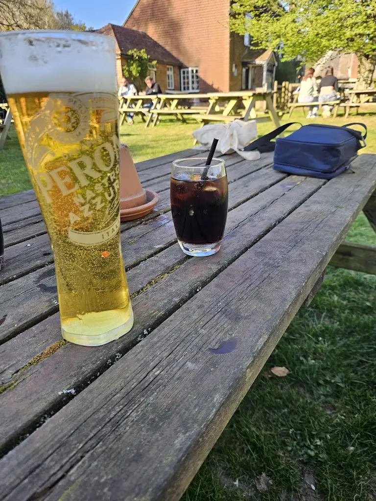 Tan Smith_The Rising Sun_Swanmore_review